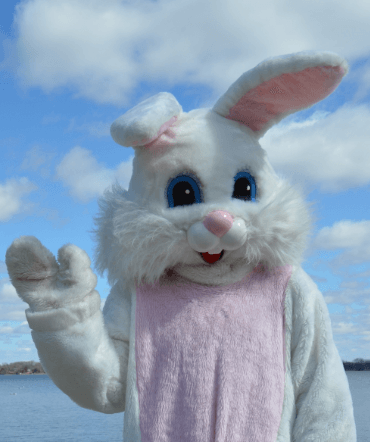 Easter Bunny Cropped 2